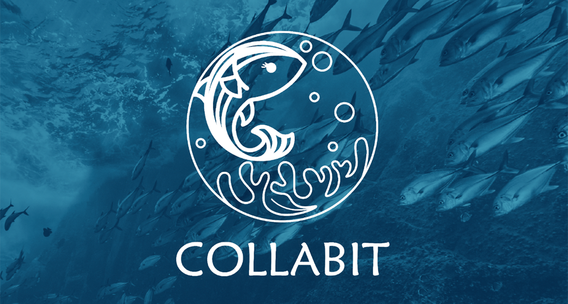 CollaBit Project